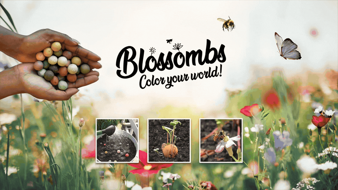 Blossombs bloembommetjes • per stuk