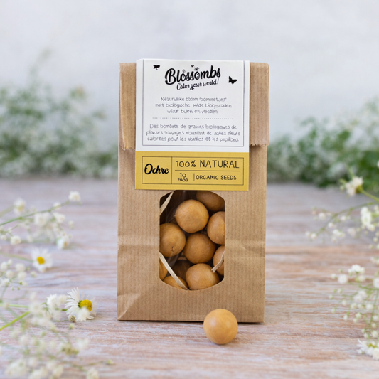 Blossombs bloembommetjes • per stuk